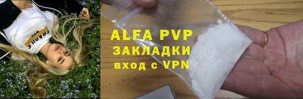 сатива Богданович