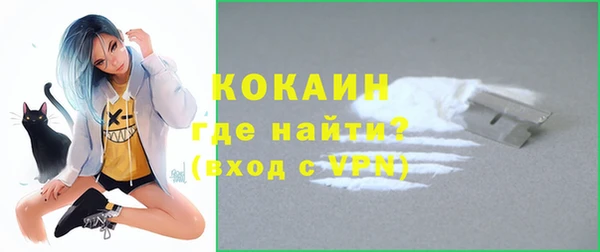 сатива Богданович