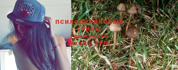 мяу мяу мука Богородицк