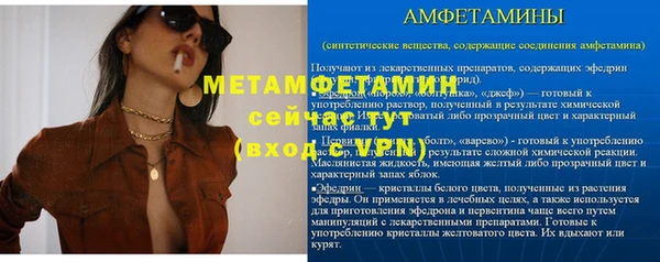 сатива Богданович